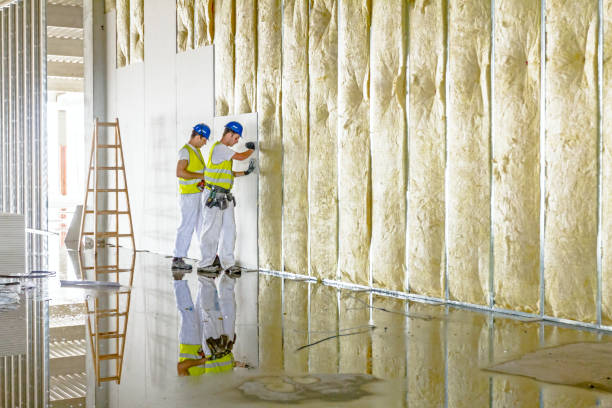 Best Types of Insulation in Valley Green, PA